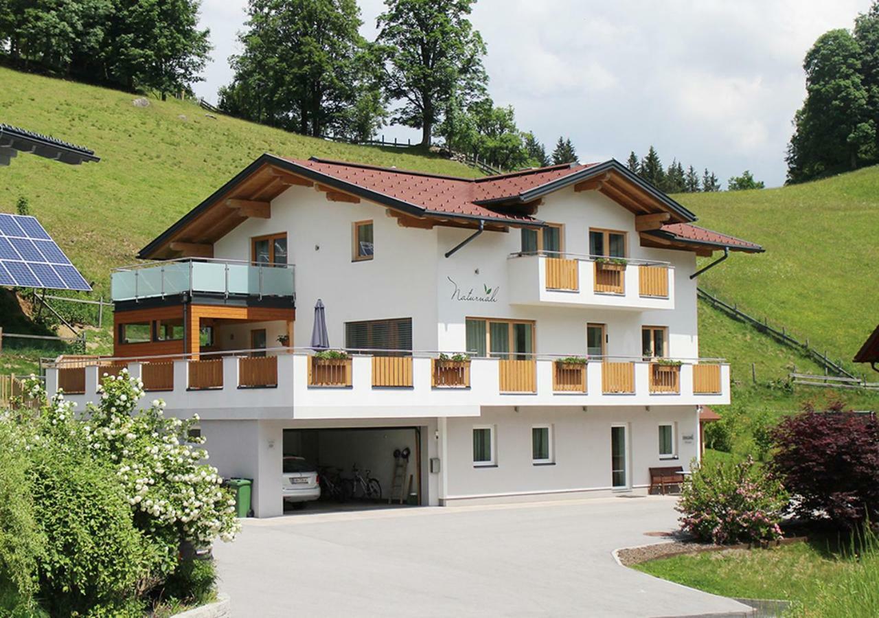 Appartements Naturnah Schladming Eksteriør bilde